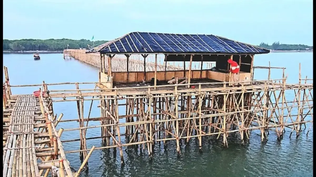 Pancang Baru Pantai Tanjung Baru Cilamaya Karawang