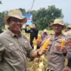 Panen Raya Jagung