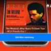 Tiket Konser The Weeknd BCA Pre-sale Masih Tersedia! Festival hingga CAT 5 Masih Bisa Diburu