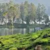Situ Patenggang Ciwidey