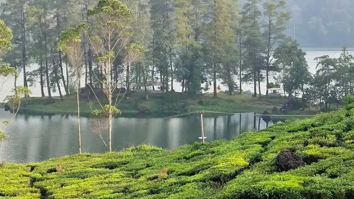 Situ Patenggang Ciwidey