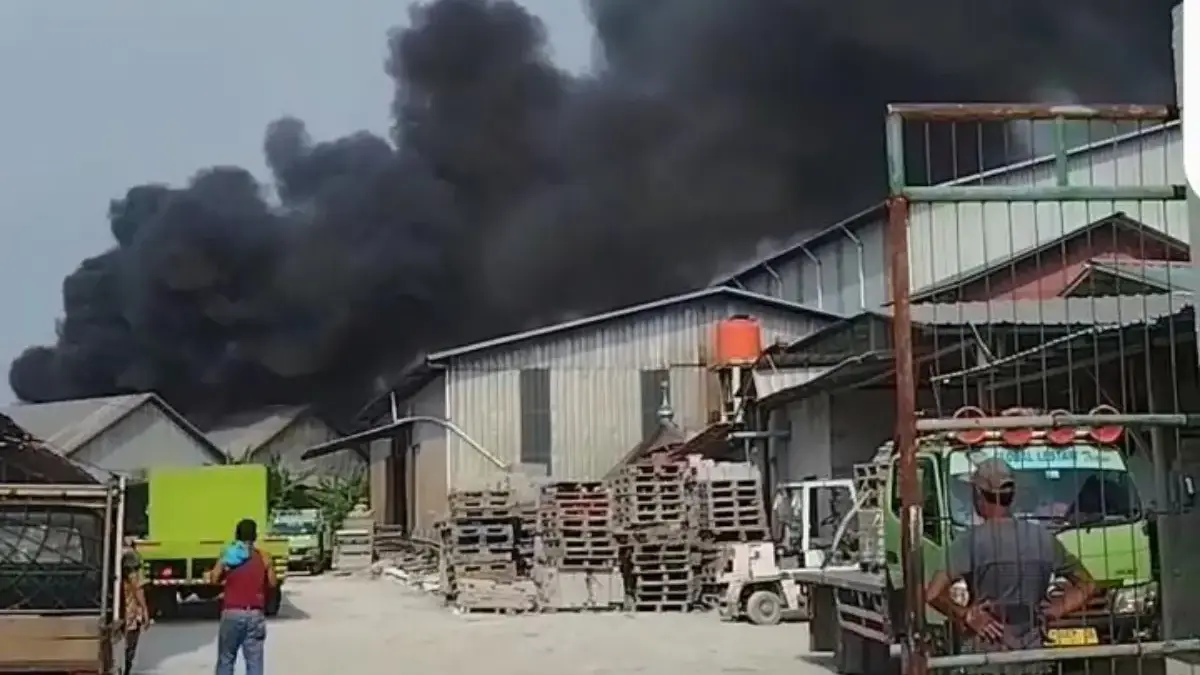 terbakar