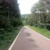 Jalan hutan pinus kaki Gunung Cakrabuana