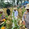 Polres Karawang Intensifkan Pendampingan Kelompok Tani.