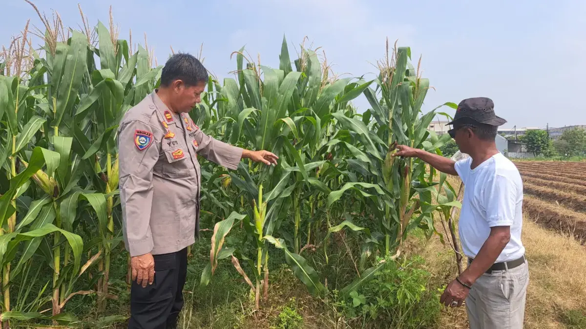 Polres Karawang dan Masyarakat: Kawal Swasembada Pangan Demi Jaga Stabilitas Kamtibmas Swasembada Pangan