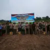 Penanaman Jagung Serentak.
