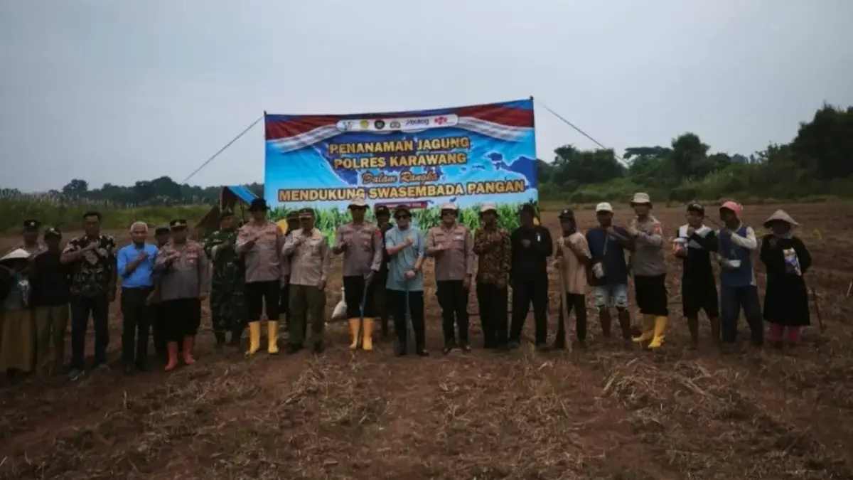 Penanaman Jagung Serentak.