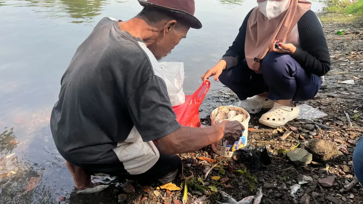 Ikan Mati Irigasi Karawang