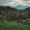 Lebak Alamsari Mirip Suasana Ubud Bali