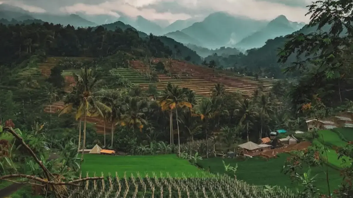 Lebak Alamsari Mirip Suasana Ubud Bali