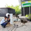SMPN 01 Cikarang Pusat