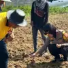 optimalisasi lahan produktif