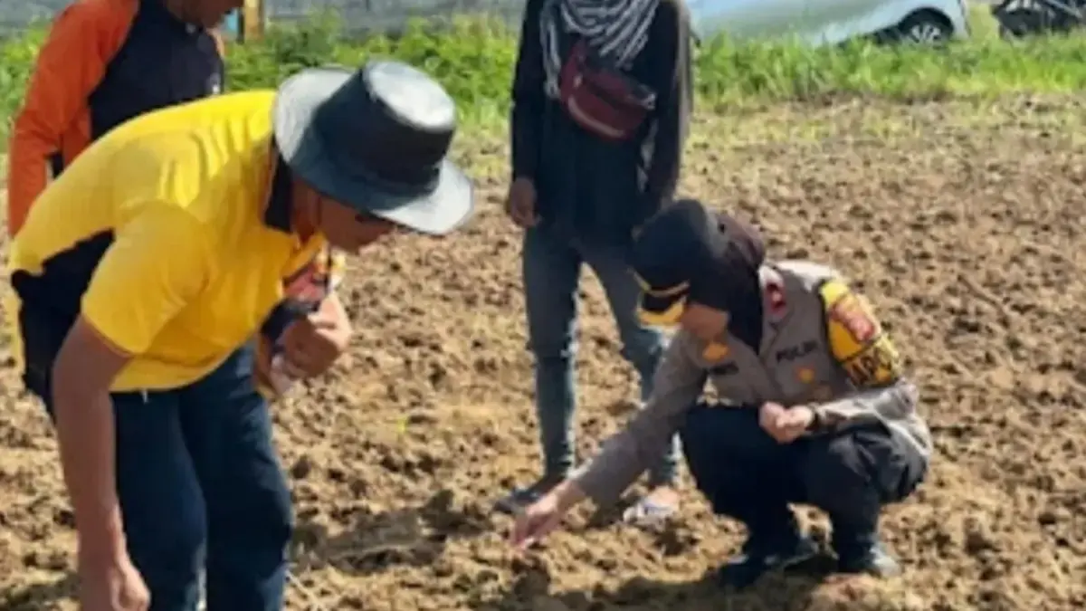 Polres Karawang Optimalkan Lahan Produktif untuk Perkuat Ketahanan Pangan optimalisasi lahan produktif