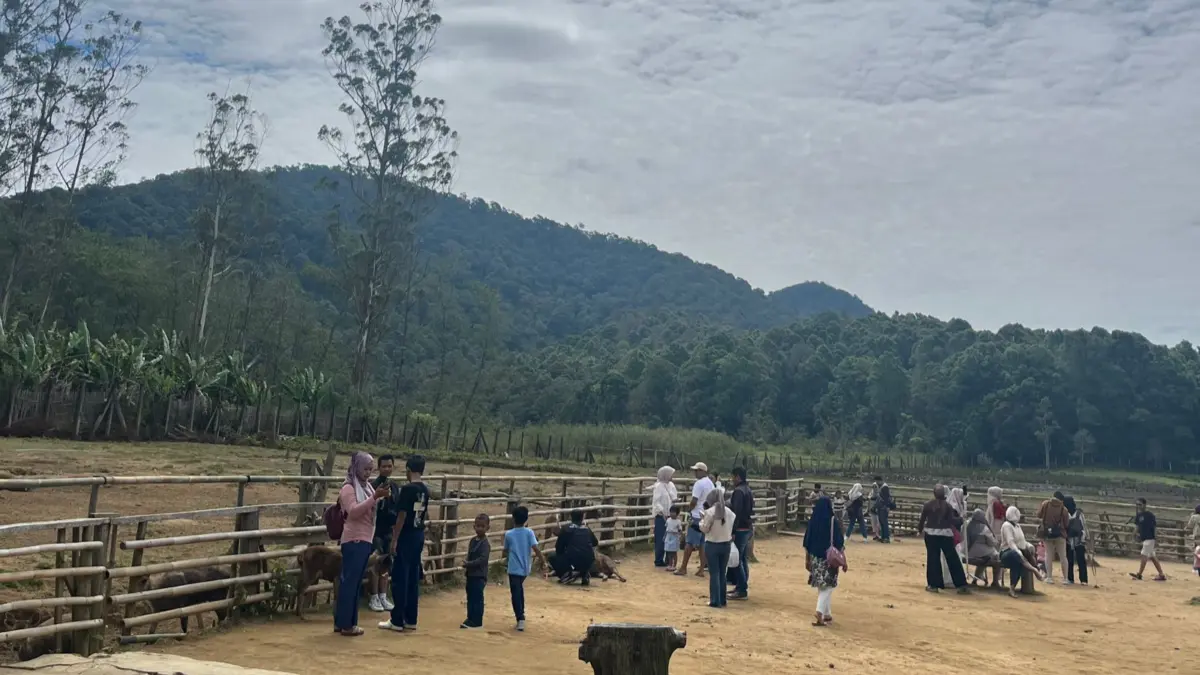 Ranca Upas Ciwidey Bandung