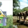 Tempat wisata yang menarik dan edukatif