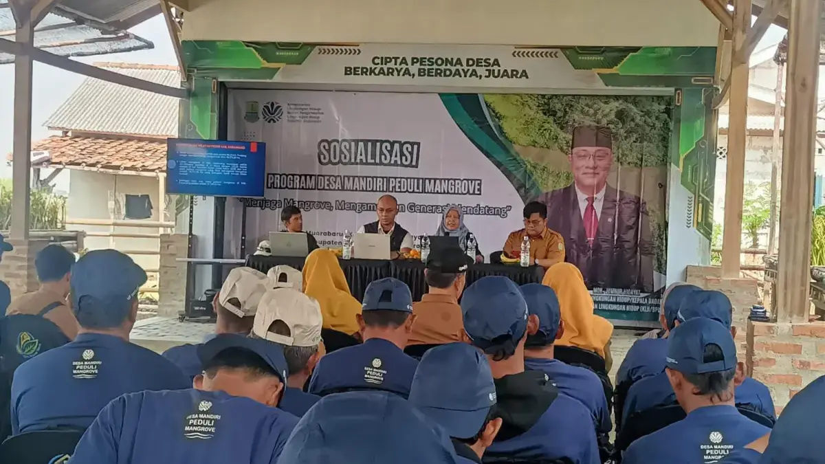DLH Karawang Tegaskan Larangan Alih Fungsi Sempadan Pantai, Perkuat Konservasi Lewat Program DMPM DLH Karawang melakukan sosialisasi Program Desa Mandiri Peduli Mangrove