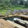 Tempat Pensiun di Subang Selatan ada wilayah dengan alam indah yakni Desa Kasomalang