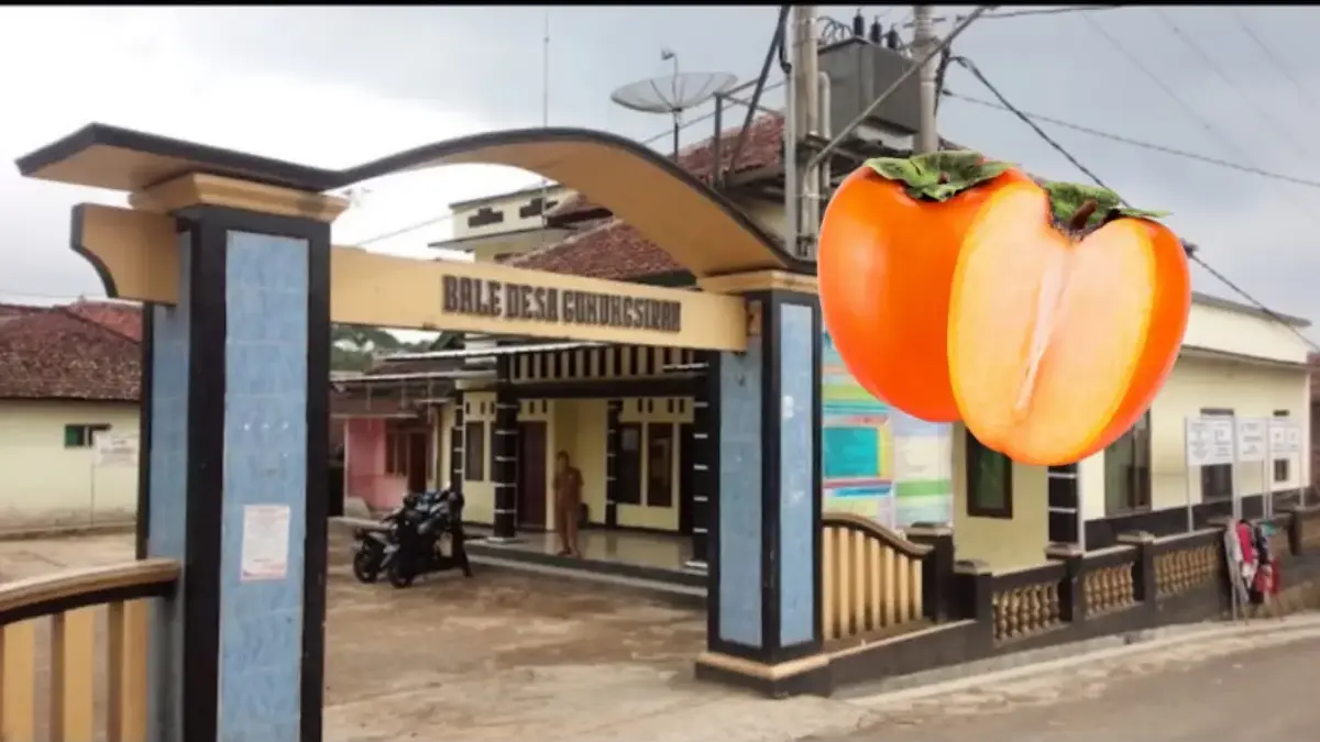 Salah satu daerah yang dikenal sebagai penghasil buah kesemek di Kabupaten Kuningan adalah Desa Gunungsirah