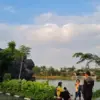 Danau Tambelang