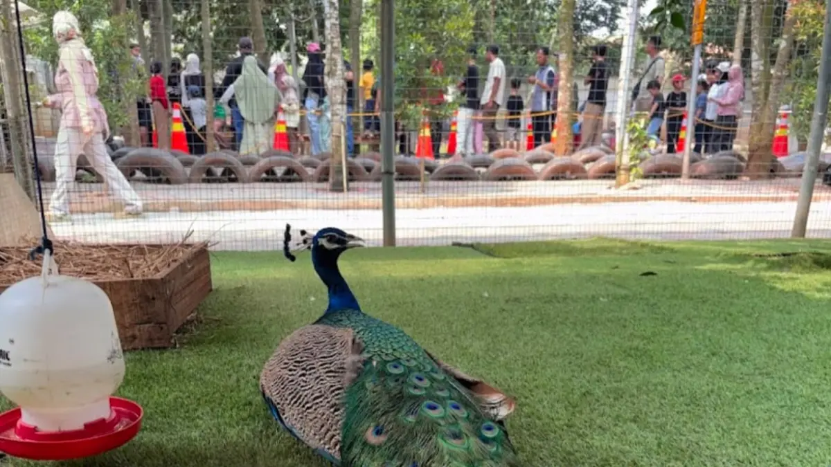 Ada Wisata Keluarga Paling Hemat di Bekasi? Kunjungi Taman Sari Forest Setu Tawarkan Wahana Serba Goceng Taman Sari Forest Setu Tawarkan Wahana Serba Goceng