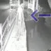 Warga Bandung Barat Hilang Diduga Diterkam Buaya