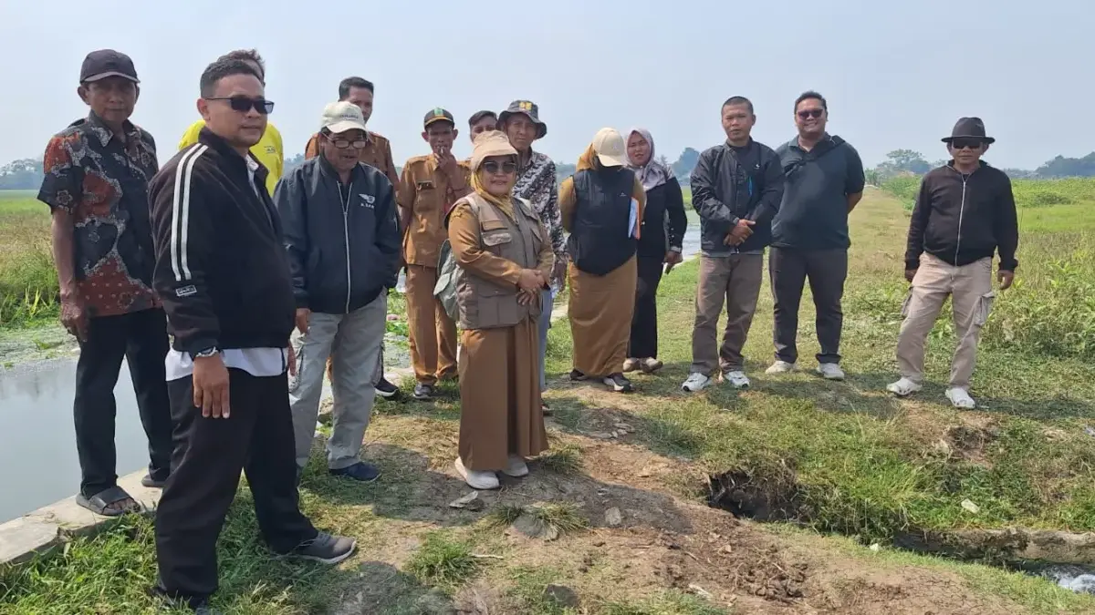 Dukung Akses Petani, DPKP Karawang Bangun Jalan Usaha Tani di 29 Titik Dukung Akses Petani, DPKP Karawang Bangun Jalan Usaha Tani di 29 Titik.