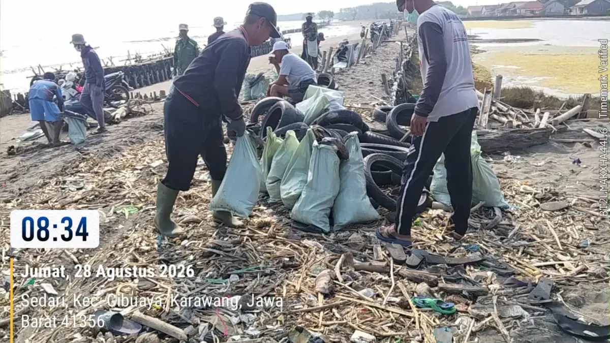 DLH Karawang Bersihkan Ceceran Oil Spill di Pesisir Cemarajaya