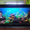 Beragam aquarium dan ikan hias dapat ditemukan di sejumlah toko kawasan Jatimulya, Tambun Selatan.
