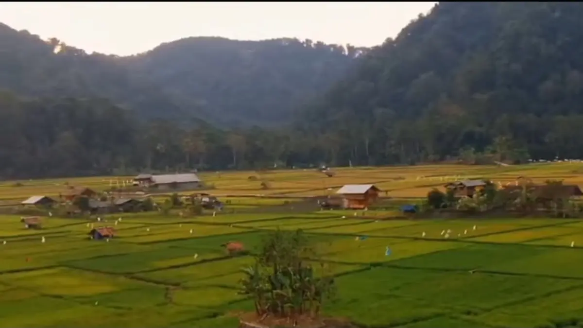 Keindahan Panorama alam Desa Tambakmekar Subang Punya Sawah Hijau Gunung Kujang