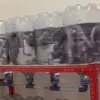 Ternak Lele Pakai Galon