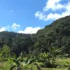 Desa Wisata Cibeusi, Kecamatan Ciater