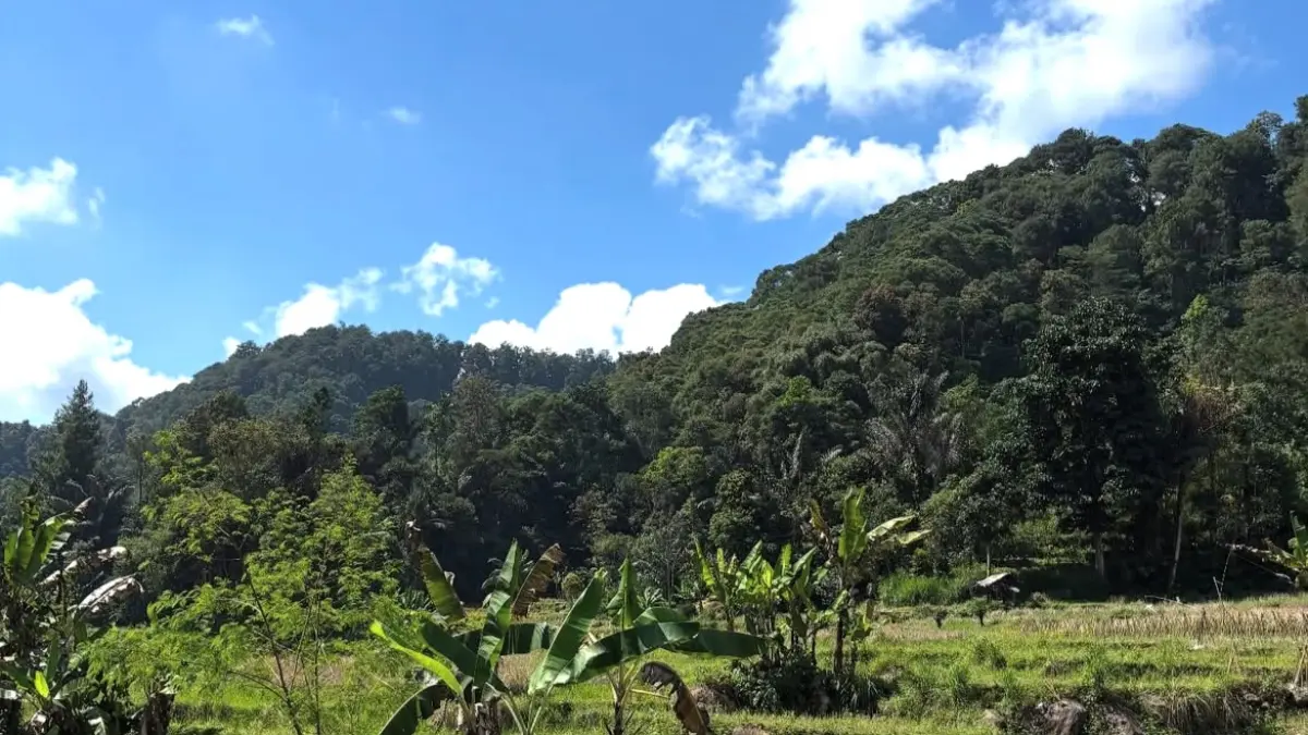 Desa Wisata Cibeusi, Kecamatan Ciater