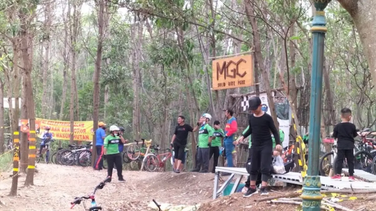 Liburan Gratis di Babelan Bekasi : Hutan Sengon Mutiara Gading City Jadi Spot Favorit Gowes dan Lari Hutan Sengon Mutiara Gading City Babelan Bekasi