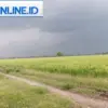 Sawah di Kecamatan Sukatani
