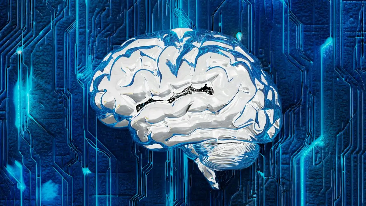 brain dump