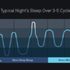 Sleep Architecture