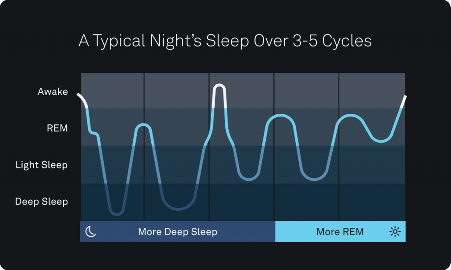 Sleep Architecture: Mengapa Tidur 8 Jam Saja Tidak Cukup Jika 'Deep Sleep' Anda Hancur Sleep Architecture