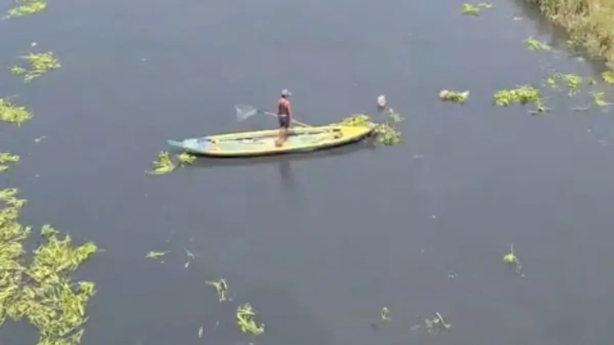 Sungai Citarum Tanjungpura Karawang Menghitam, Ribuan Ikan Mabuk Diduga Akibat Pencemaran Limbah Sungai Citarum Tanjungpura Menghitam