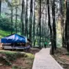 Sejumlah destinasi wisata alam di Bogor menawarkan suasana hijau.