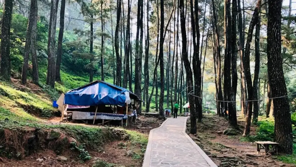 Daftar 13 Hidden Gem Wisata Alam di Sekitar Bogor yang Bikin Betah, Cocok Buat Kabur Sejenak dari Rutinitas Sejumlah destinasi wisata alam di Bogor menawarkan suasana hijau.