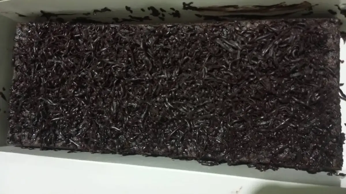 Brownies dengan lelehan cokelat yang menggoda.