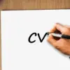 Ilustrasi pencari kerja sedang menyusun CV profesional