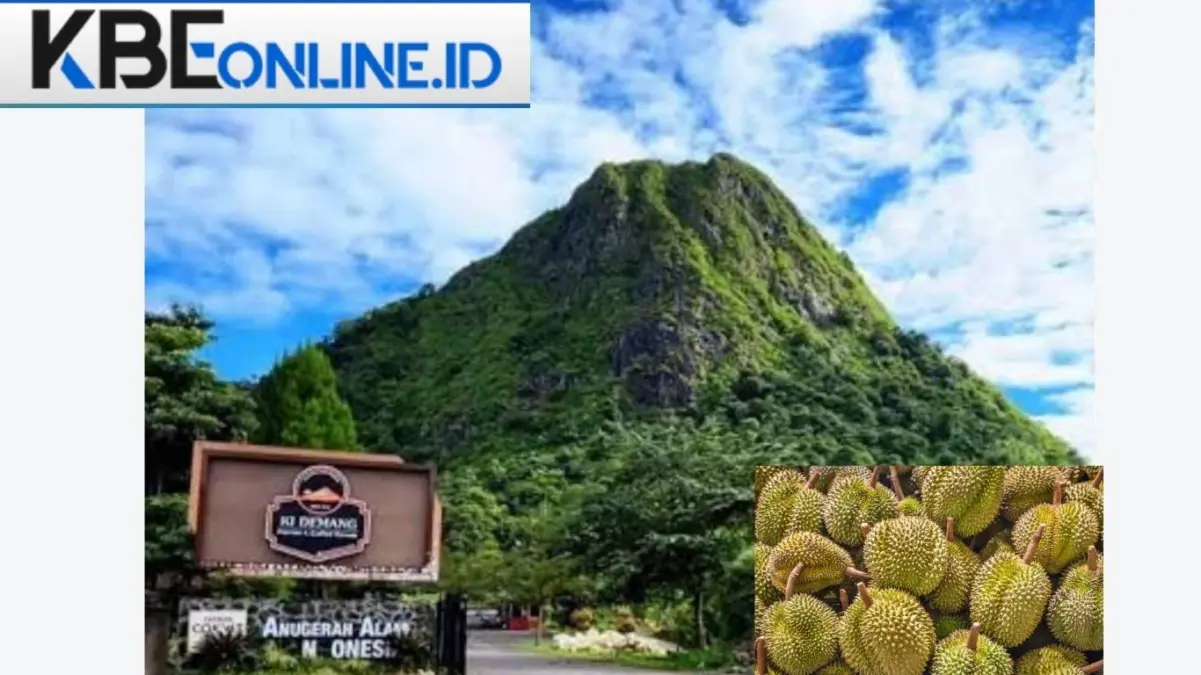 Mencari Durian di Gunung Batu Jonggol