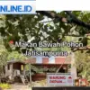 Makan Bawah Pohon