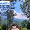Kawasan Agrowisata Gunung Mas Puncak