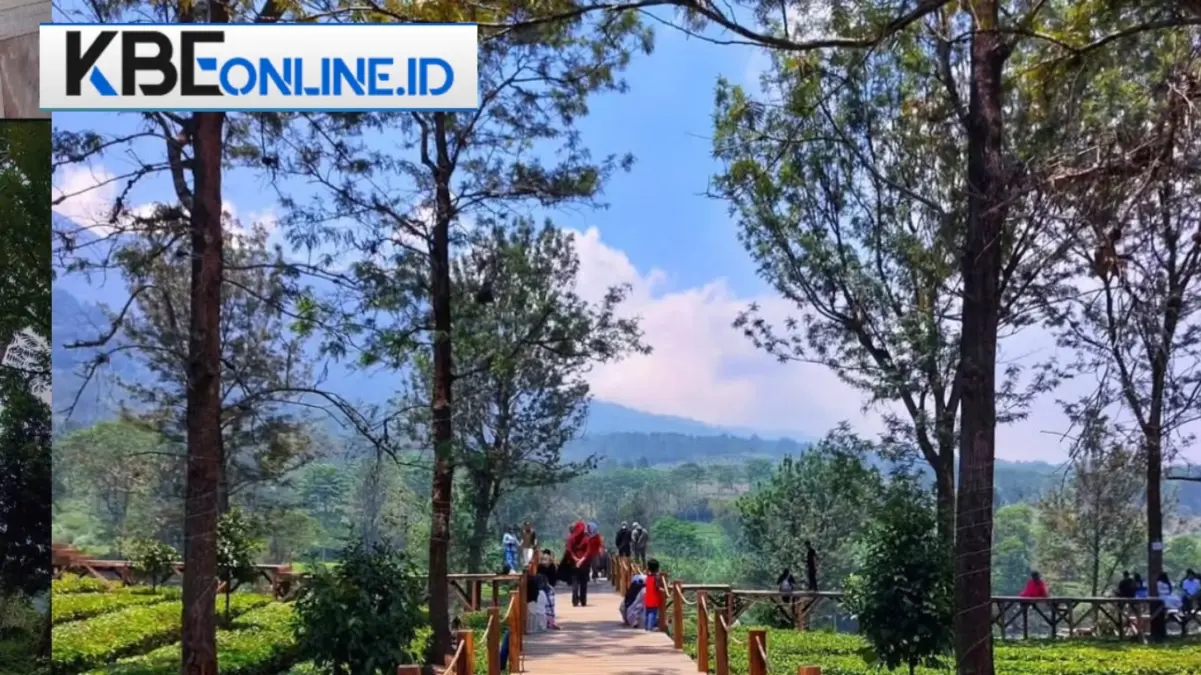 Kawasan Agrowisata Gunung Mas Puncak