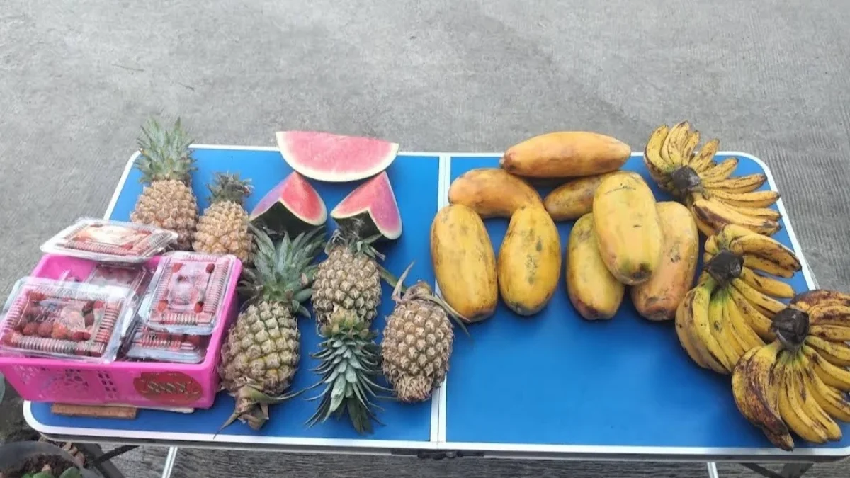 Cari Toko Buah Segar untuk Stok di Rumah? Ini 12 Toko Buah di Cibitung yang Bisa Dicoba Sejumlah toko dan lapak buah di Kecamatan Cibitung, Kabupaten Bekasi.