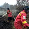 Kebakaran hutan dan lahan (Karhutla) melanda sejumlah provinsi di Indonesia