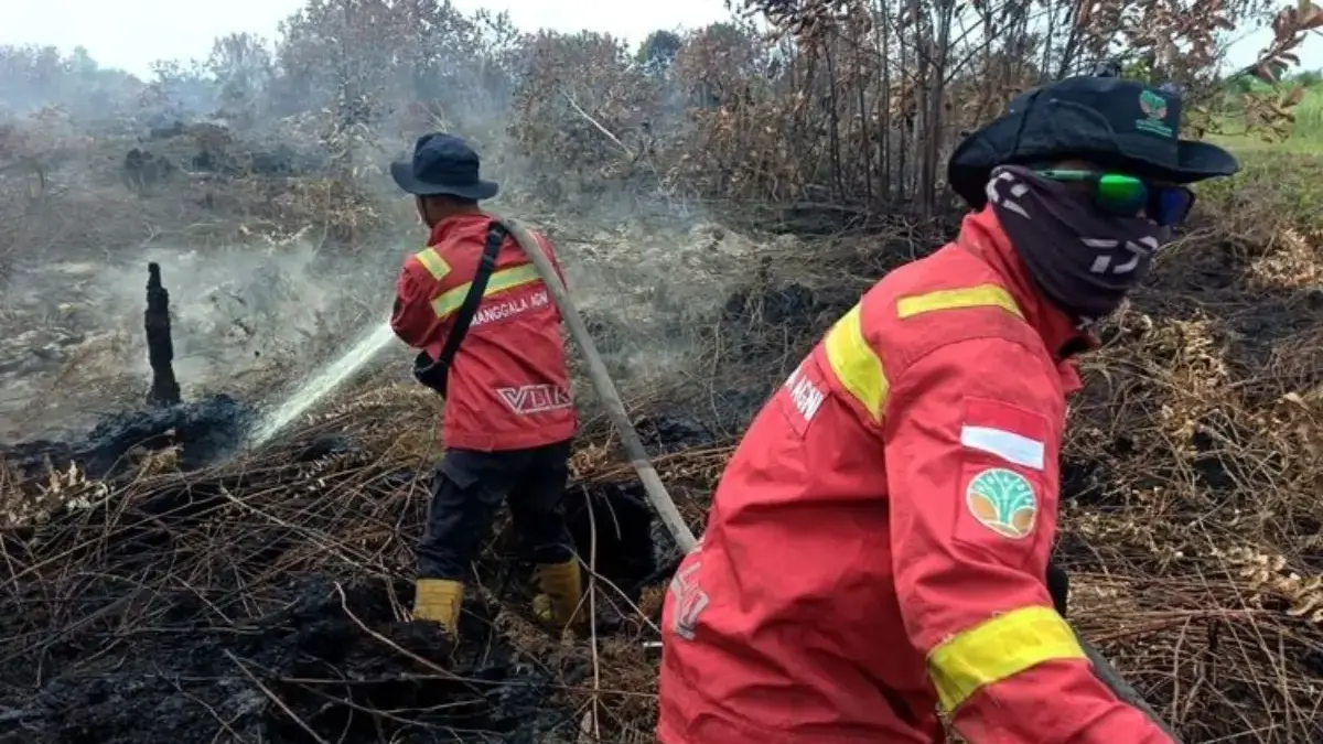Aksi Cepat Baznas Hadapi Karhutla di 3 Pulau: Siapkan Air Bersih, Dapur Air, hingga Rumah Oksigen Kebakaran hutan dan lahan (Karhutla) melanda sejumlah provinsi di Indonesia