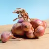 Menyimpan bawang dengan cara yang tepat dapat membantu mempertahankan kualitasnya lebih lama.